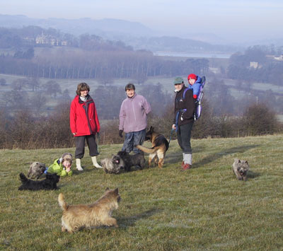 Amber Valley, Higham